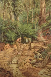 Den ädla metallen, 1894